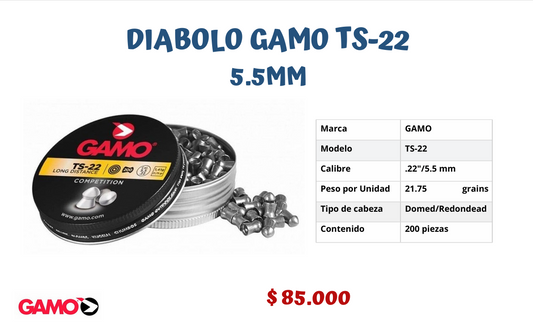 Diabolo Gamo TS-22 5.5 MM